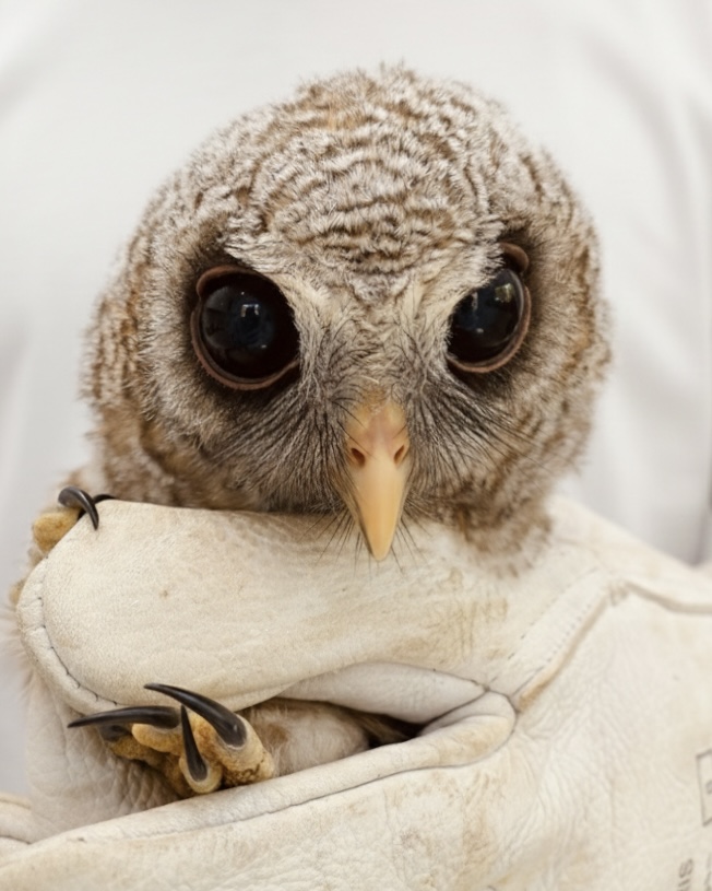 Libassa Wildlife Sanctuary