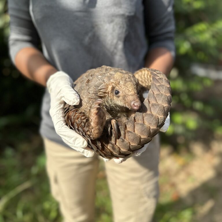 Libassa Wildlife Sanctuary