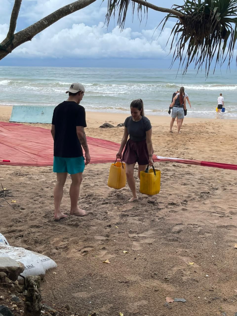 Sea Turtle Conservation