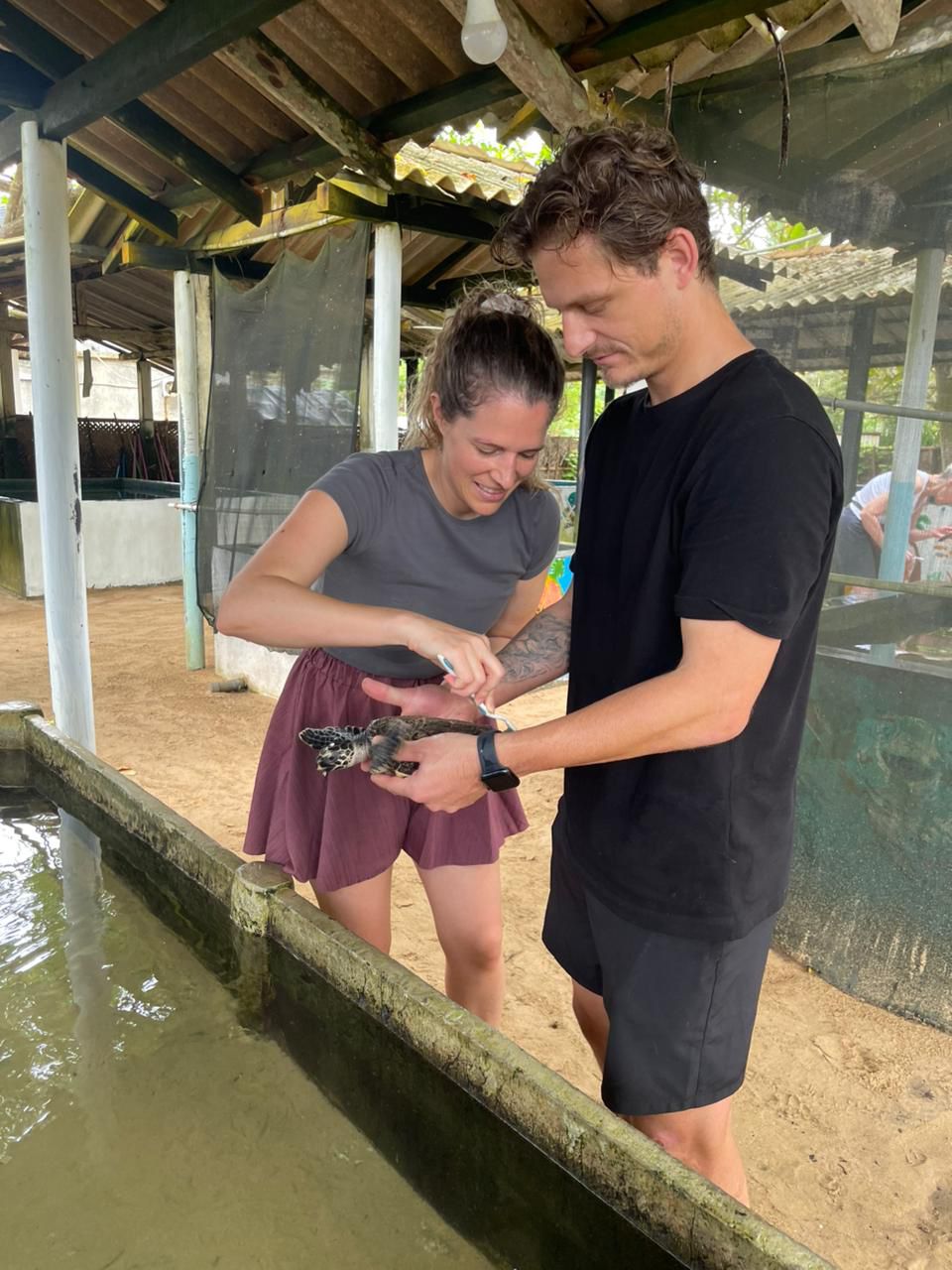 Sea Turtle Conservation