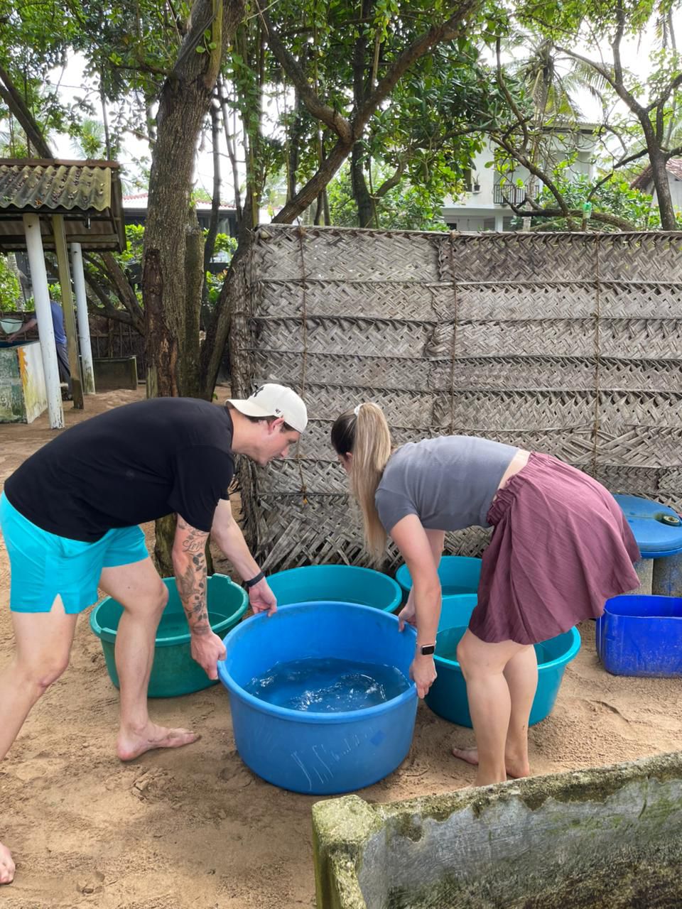 Sea Turtle Conservation