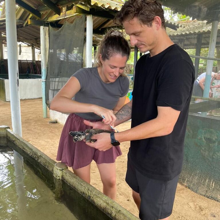 Sea Turtle Conservation