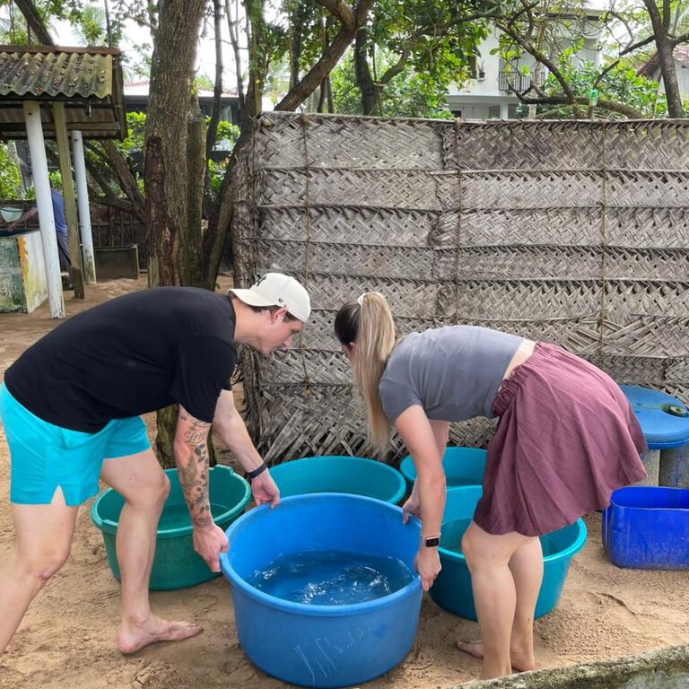 Sea Turtle Conservation