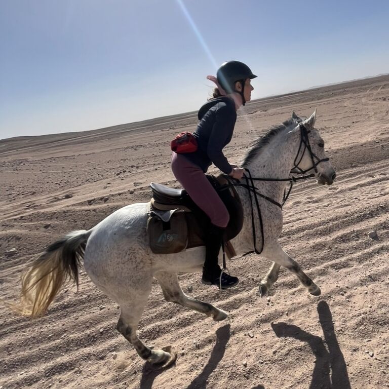 Equestrian Dream Egypt