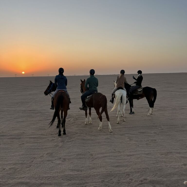 Equestrian Dream Egypt