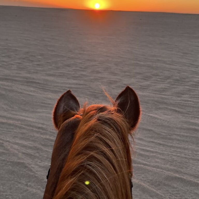 Equestrian Dream Egypt
