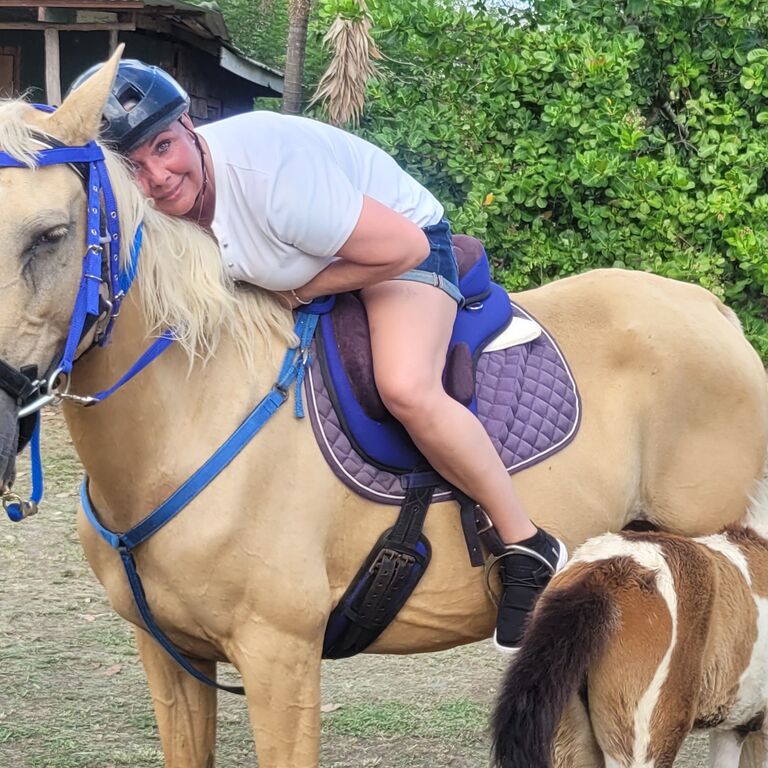 Unique Stables 758