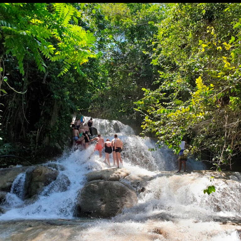 Absolute Tours Jamaica