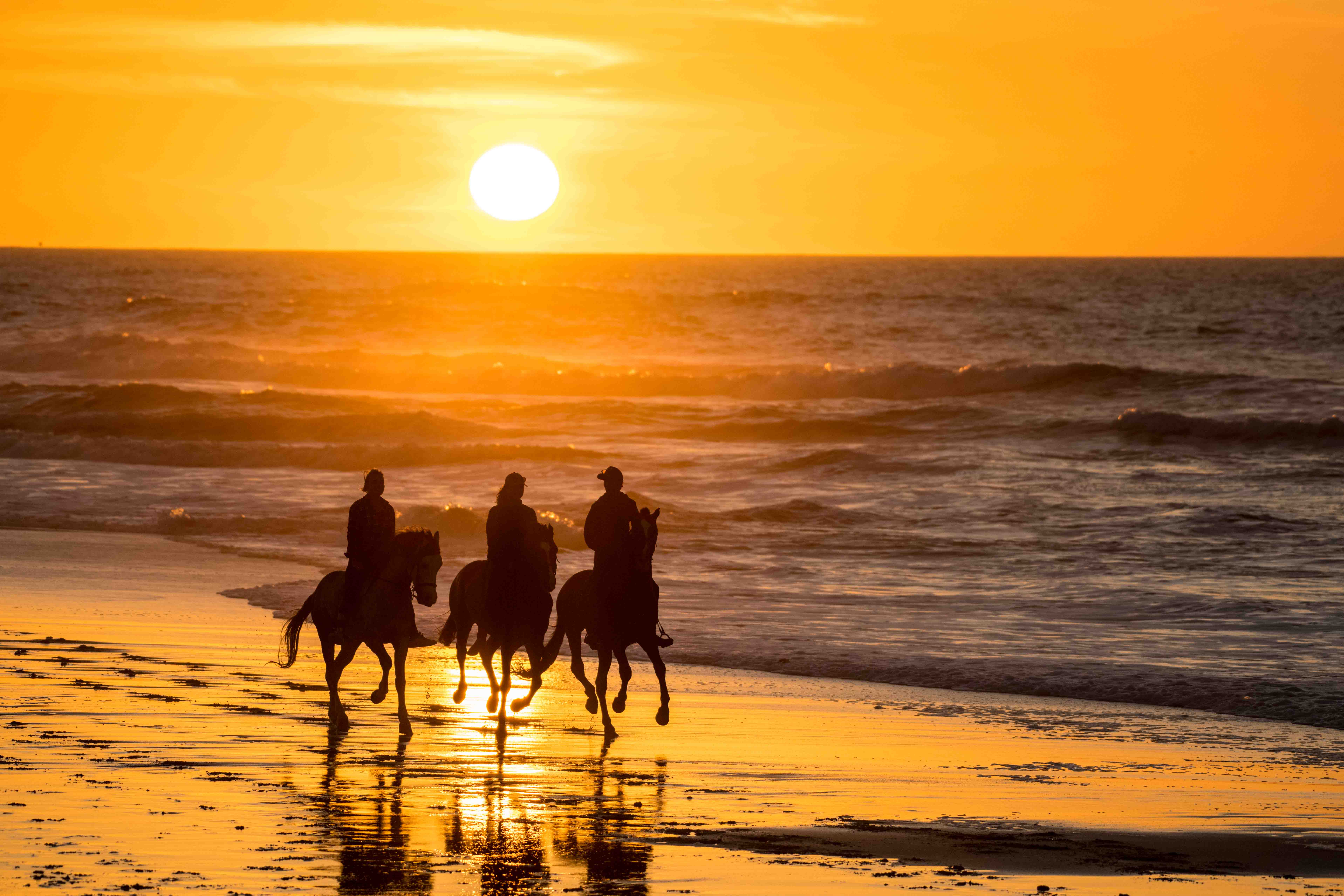 Horseback Ride in the Sahara