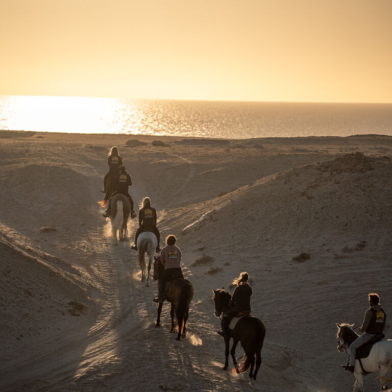 Horseback Ride in the Sahara