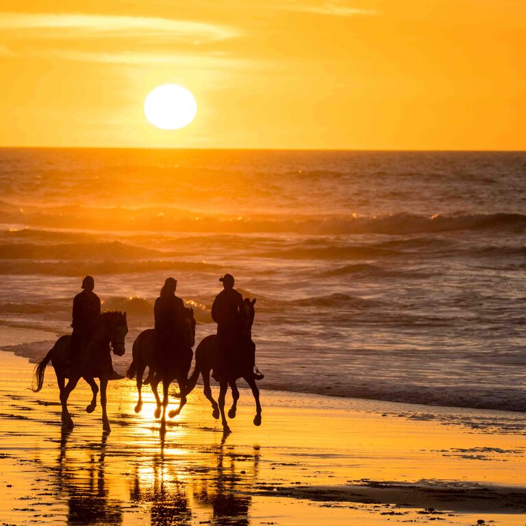 Horseback Ride in the Sahara