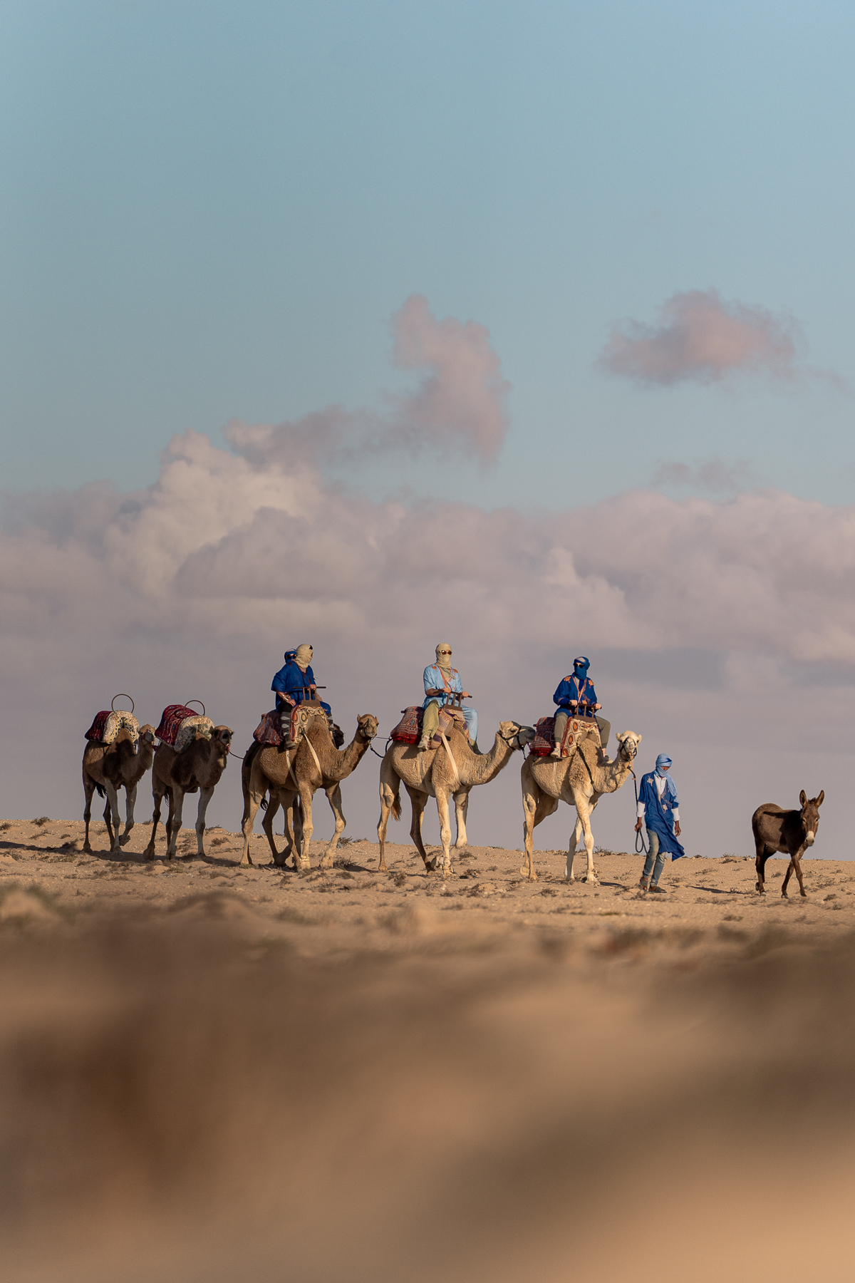 Camel Ride in the Sahara