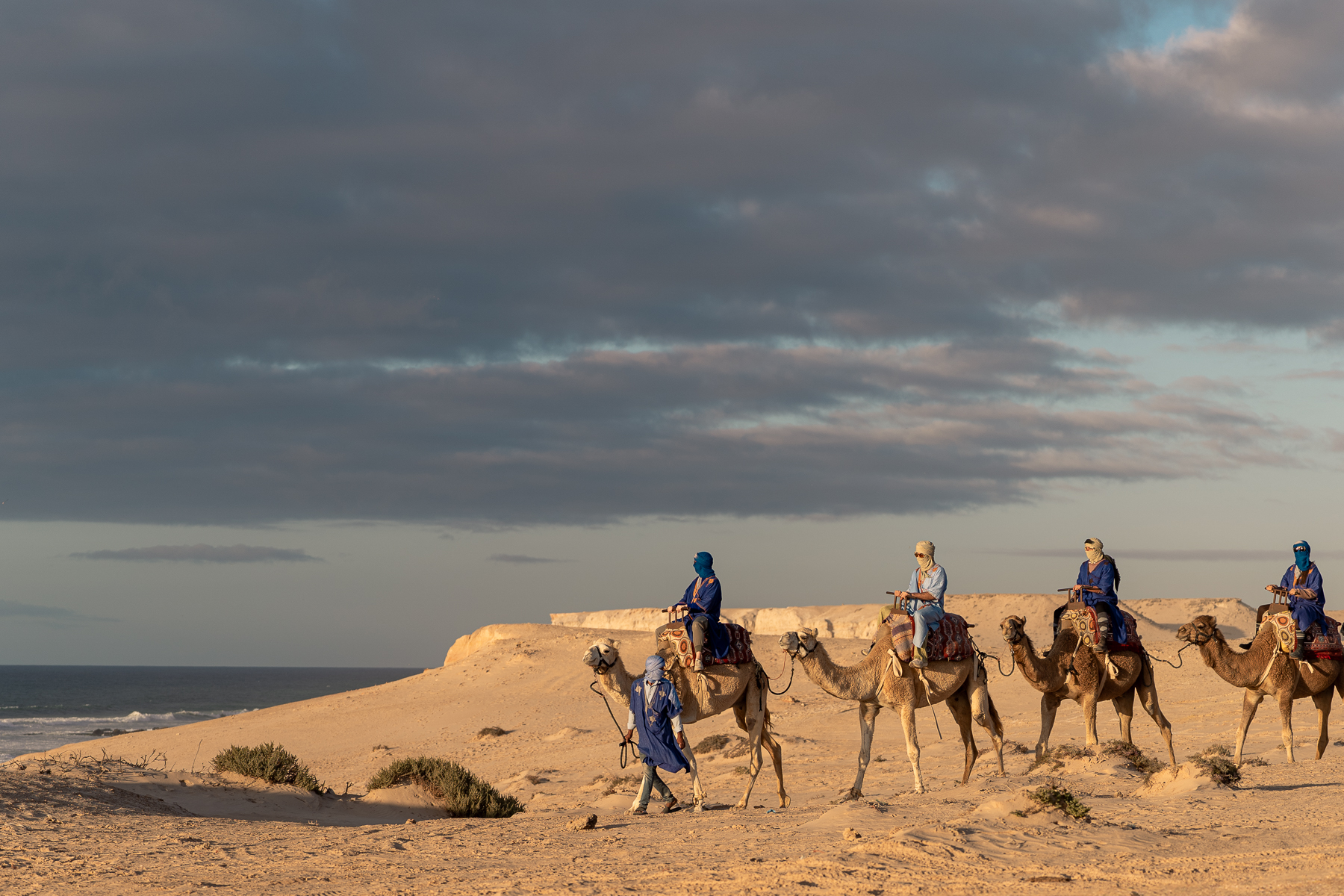 Camel Ride in the Sahara