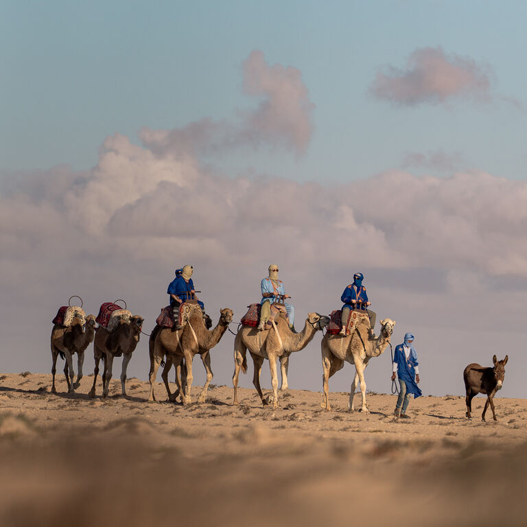Camel Ride in the Sahara