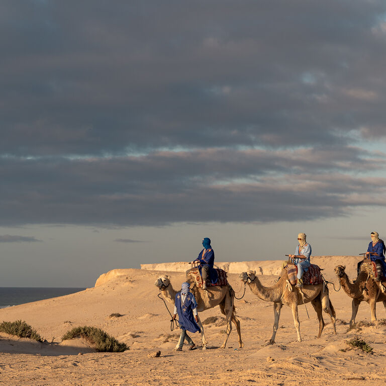 Camel Ride in the Sahara