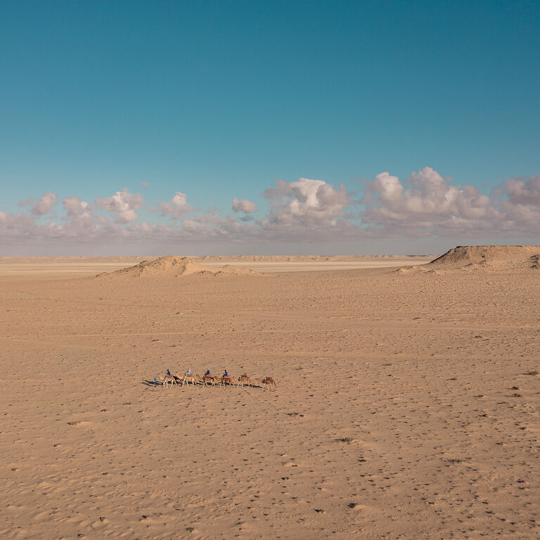 Camel Ride in the Sahara
