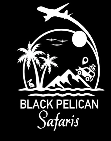 Black pelican safaris