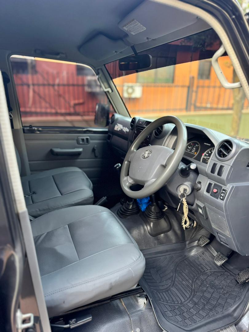 Black pelican safaris