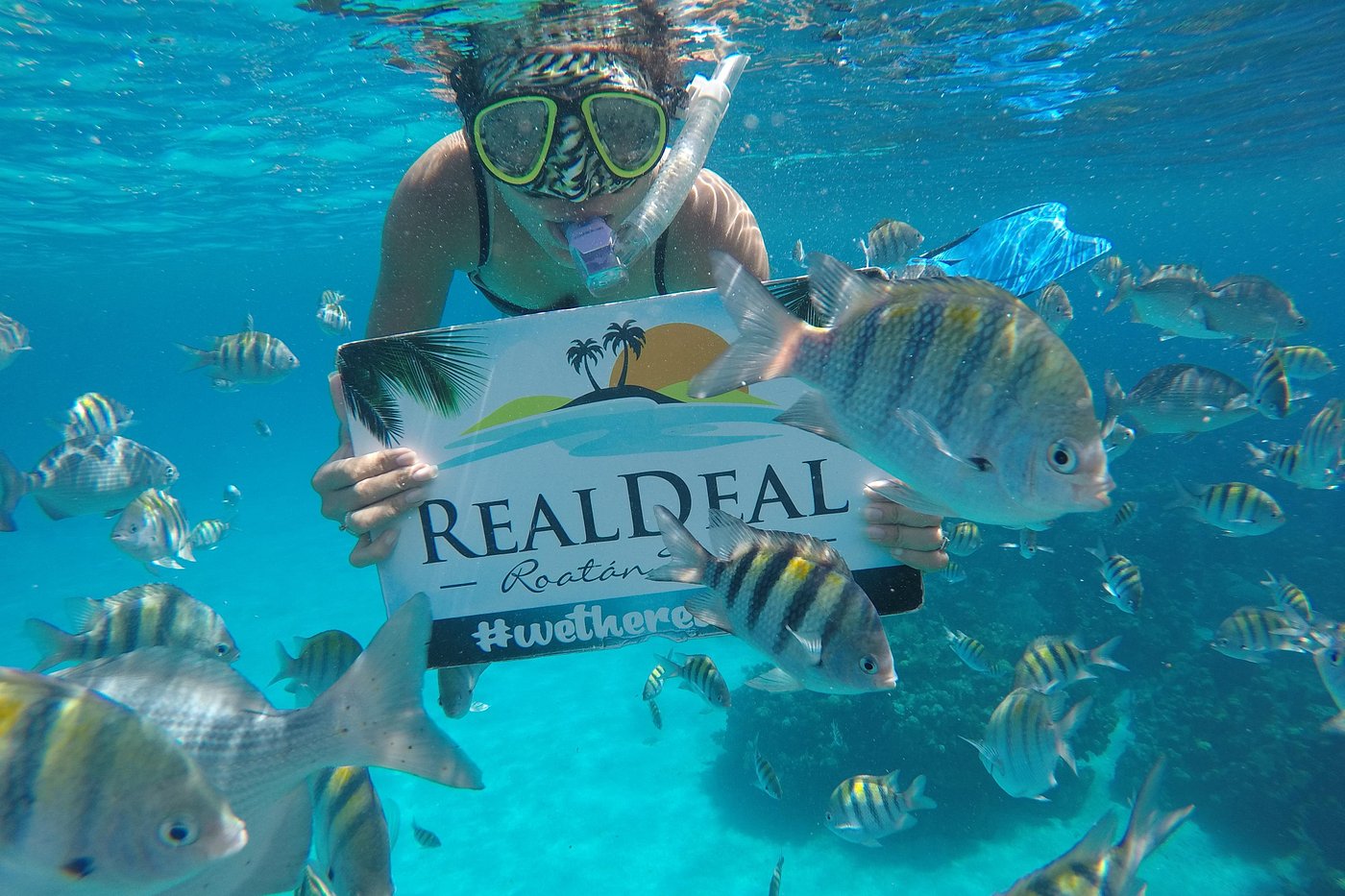 Real Deal Roatan Tours
