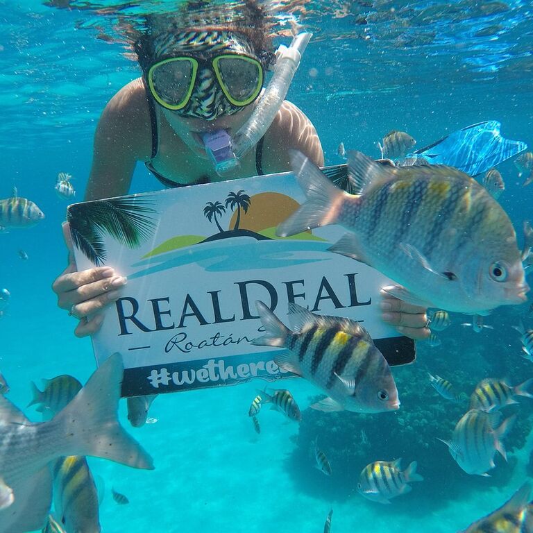 Real Deal Roatan Tours