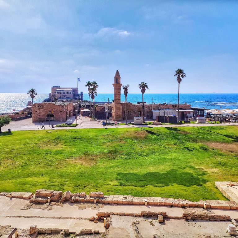 The Orange Dreams