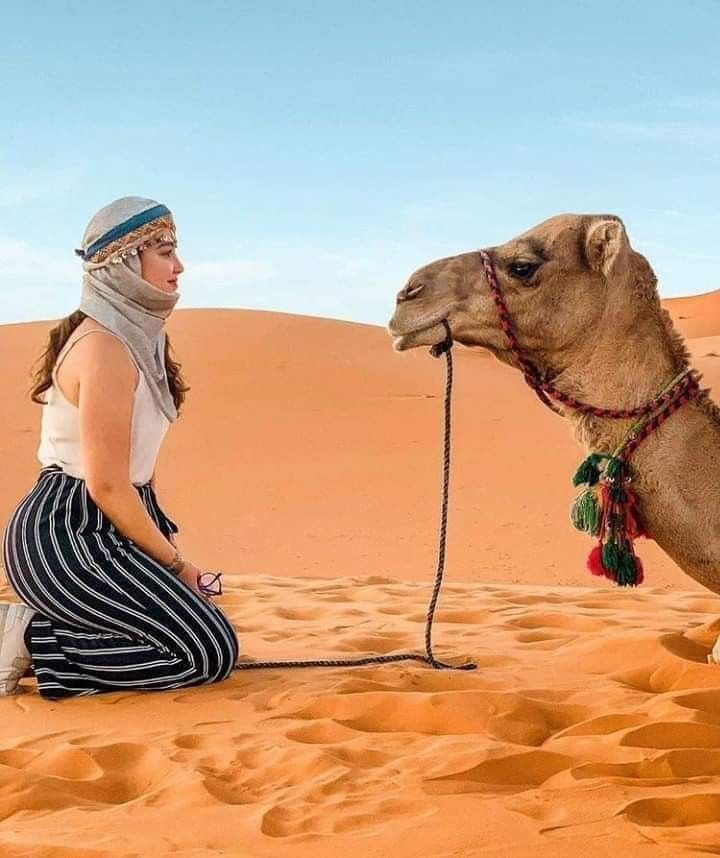Marrakech trekking