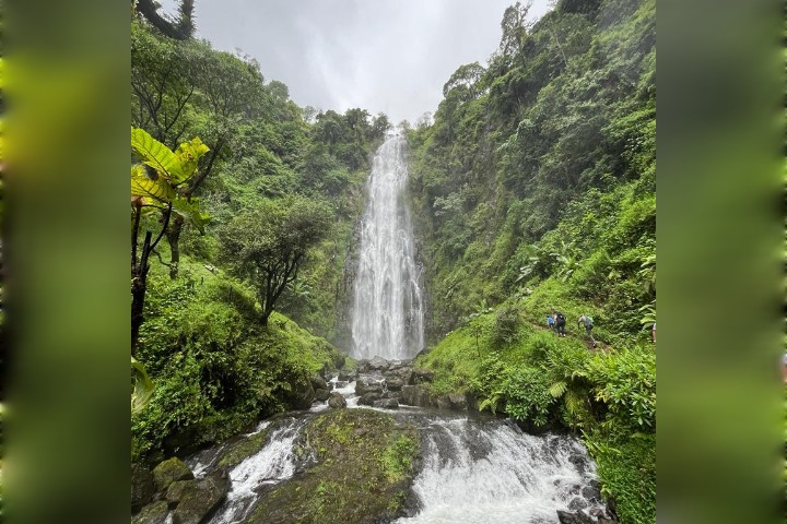 Safari Cabs Kilimanjaro