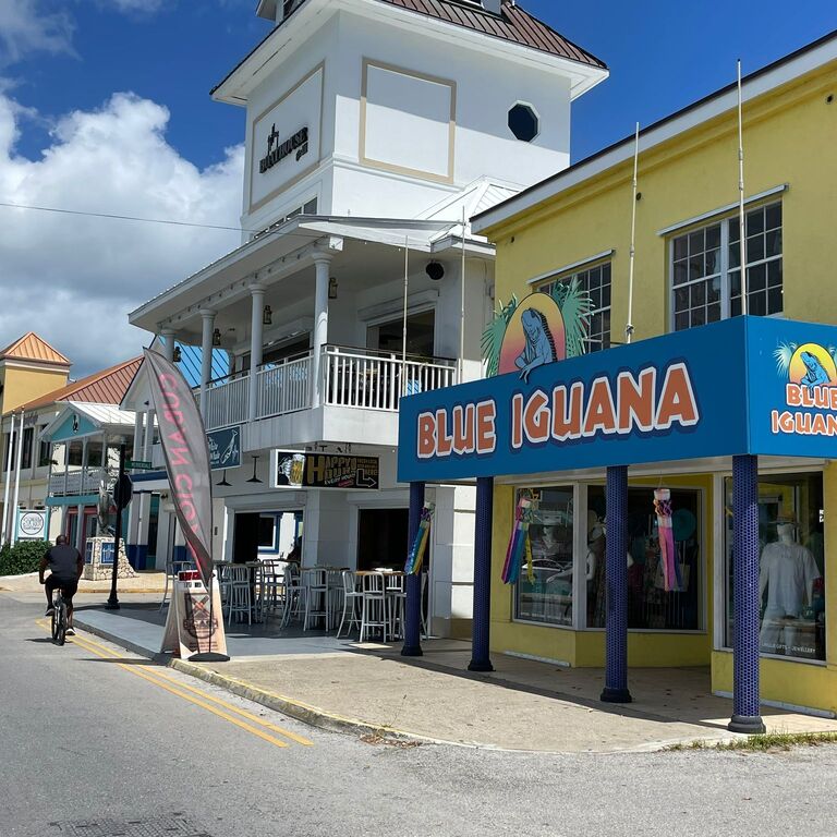 CAYMAN GIFTS & SOUVENIRS, BLUE IGUANA AND 2BLUE