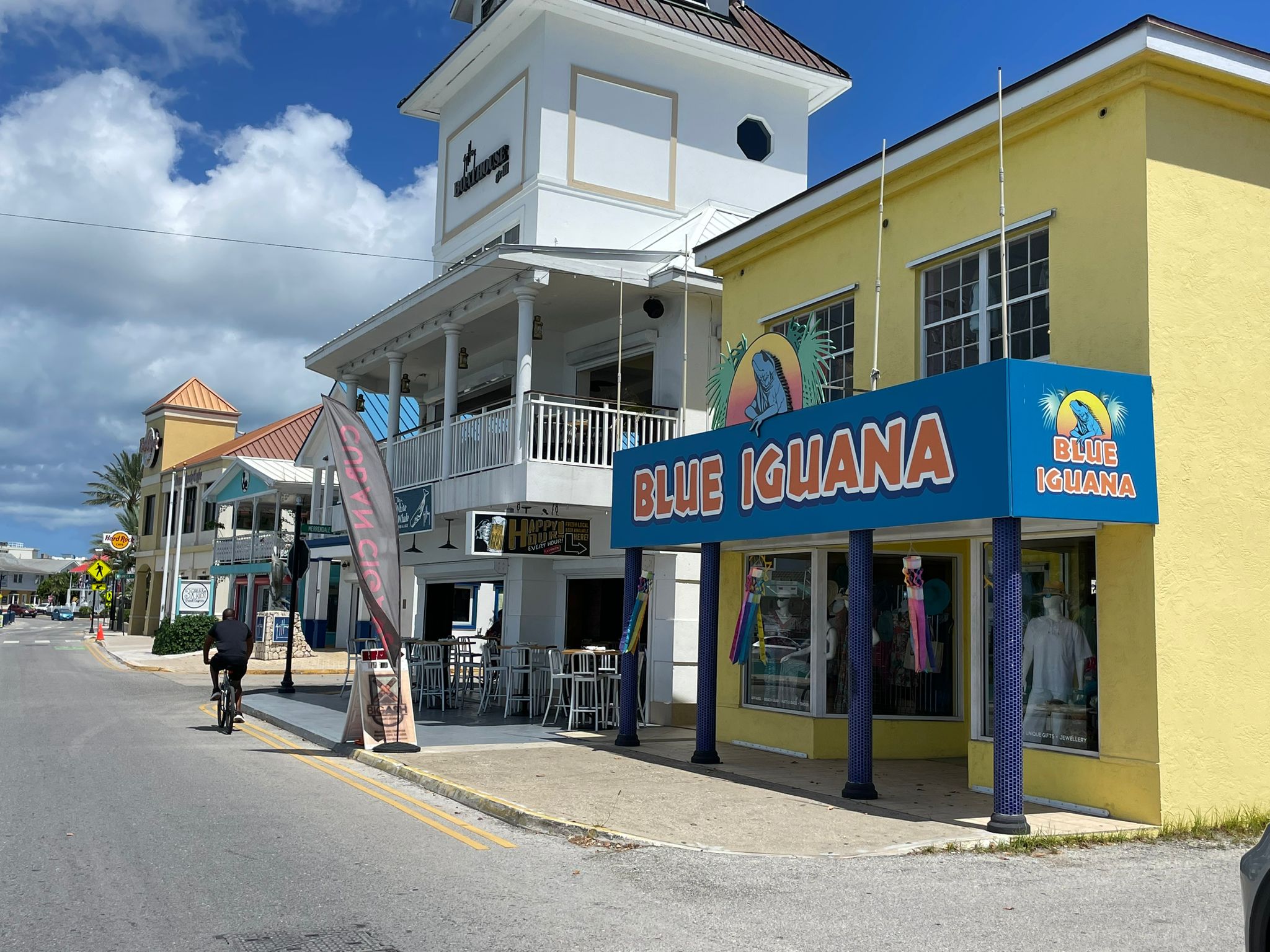 CAYMAN GIFTS & SOUVENIRS, BLUE IGUANA AND 2BLUE
