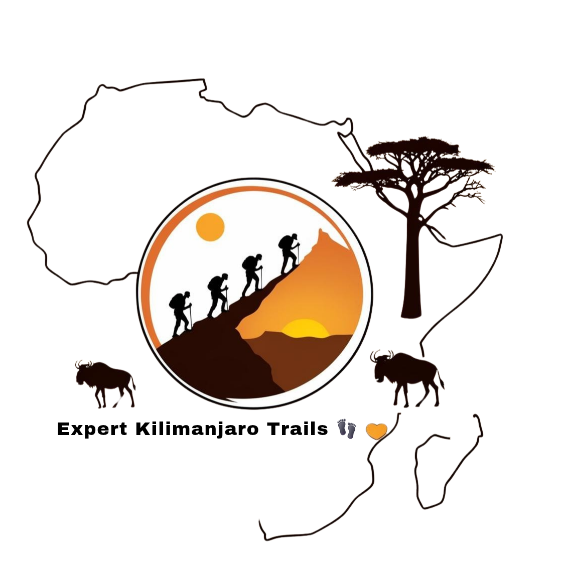 Expert Kilimanjaro Trails