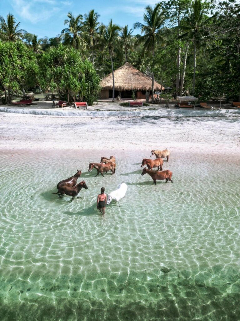 Indo Nusa Holiday Agency