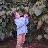 Nadu traditional home garden cooking class and restaurant