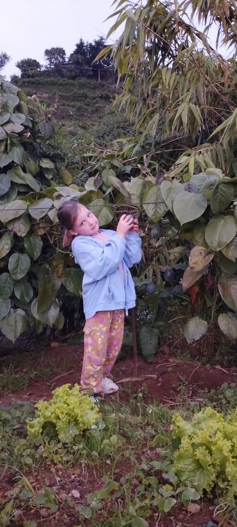 Nadu traditional home garden cooking class and restaurant