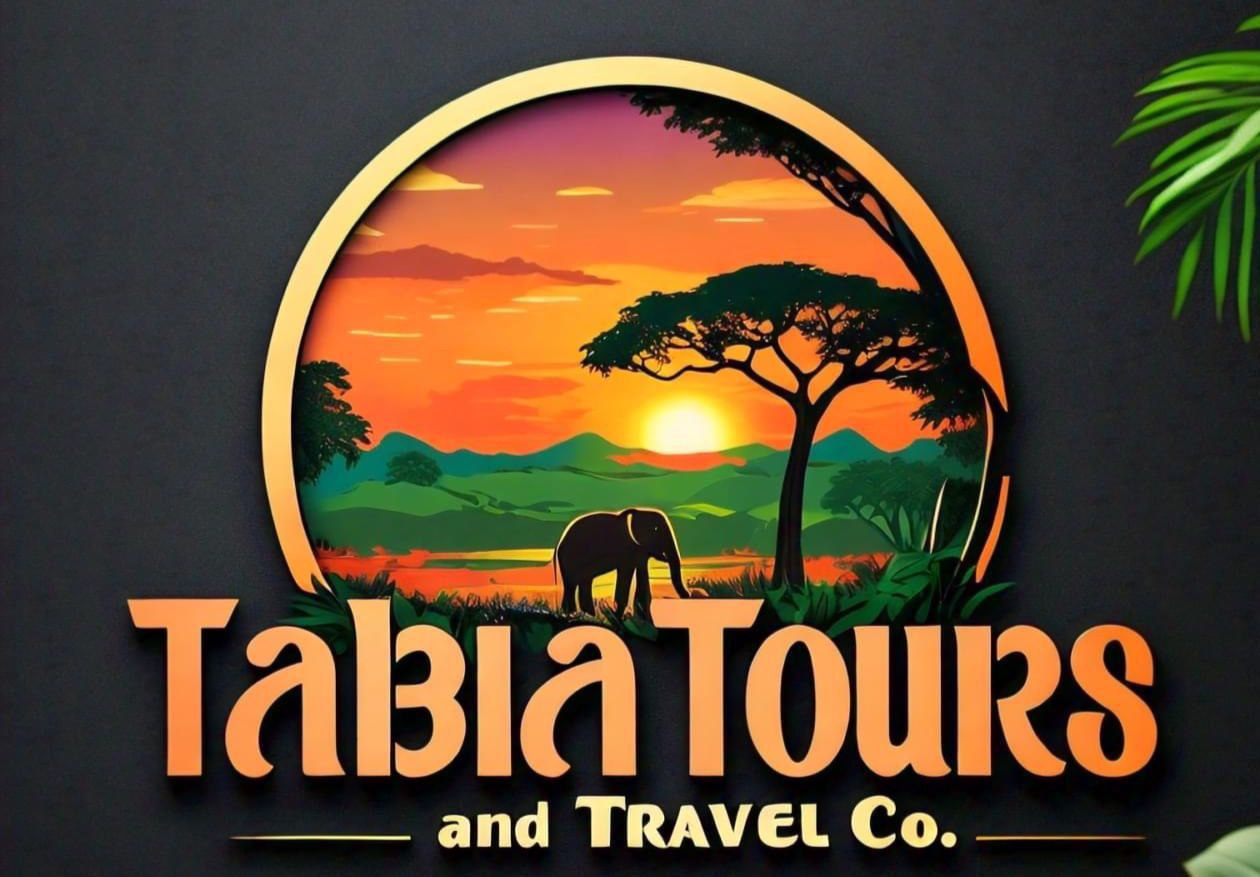 Tabia Tours and Travel