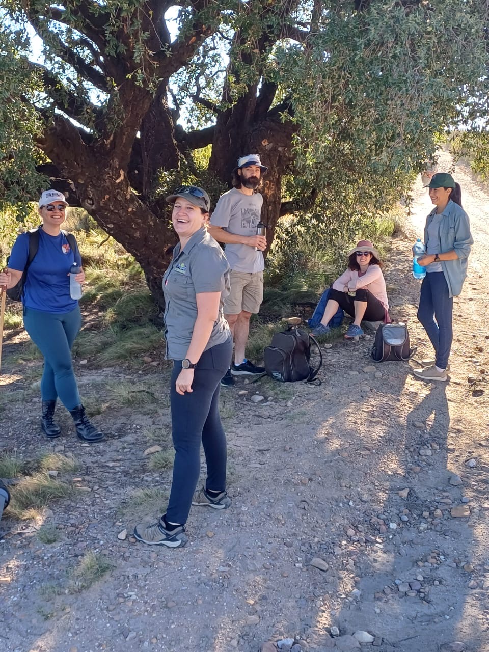 A 2 Zebra Adventures