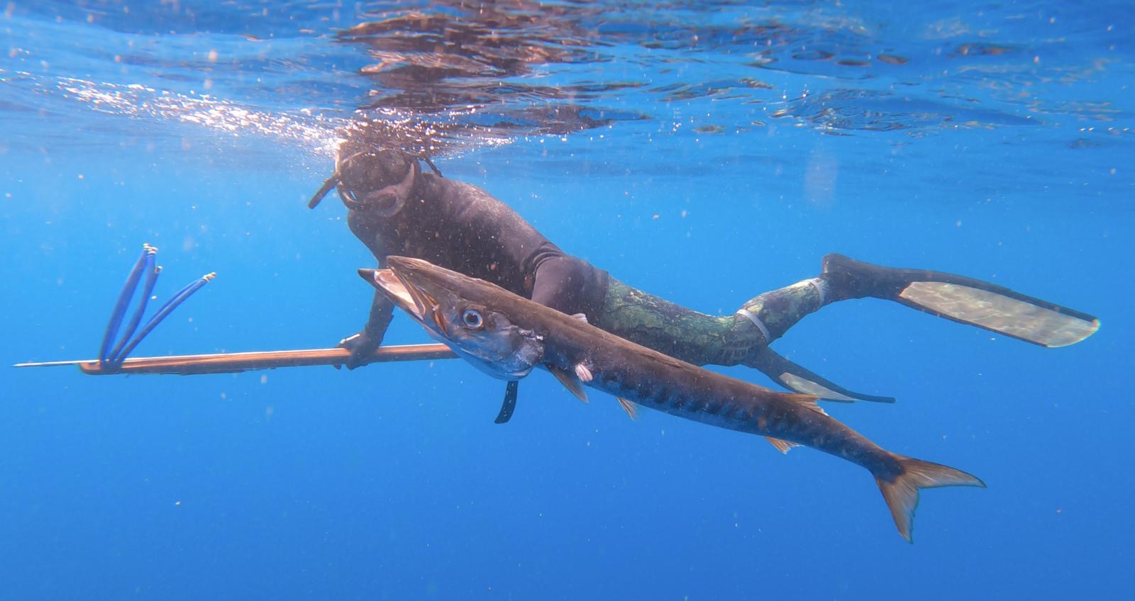 Spearfishing Madeira Club
