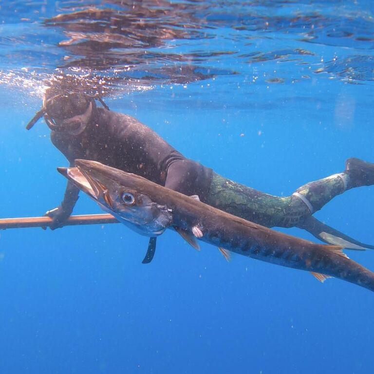 Spearfishing Madeira Club