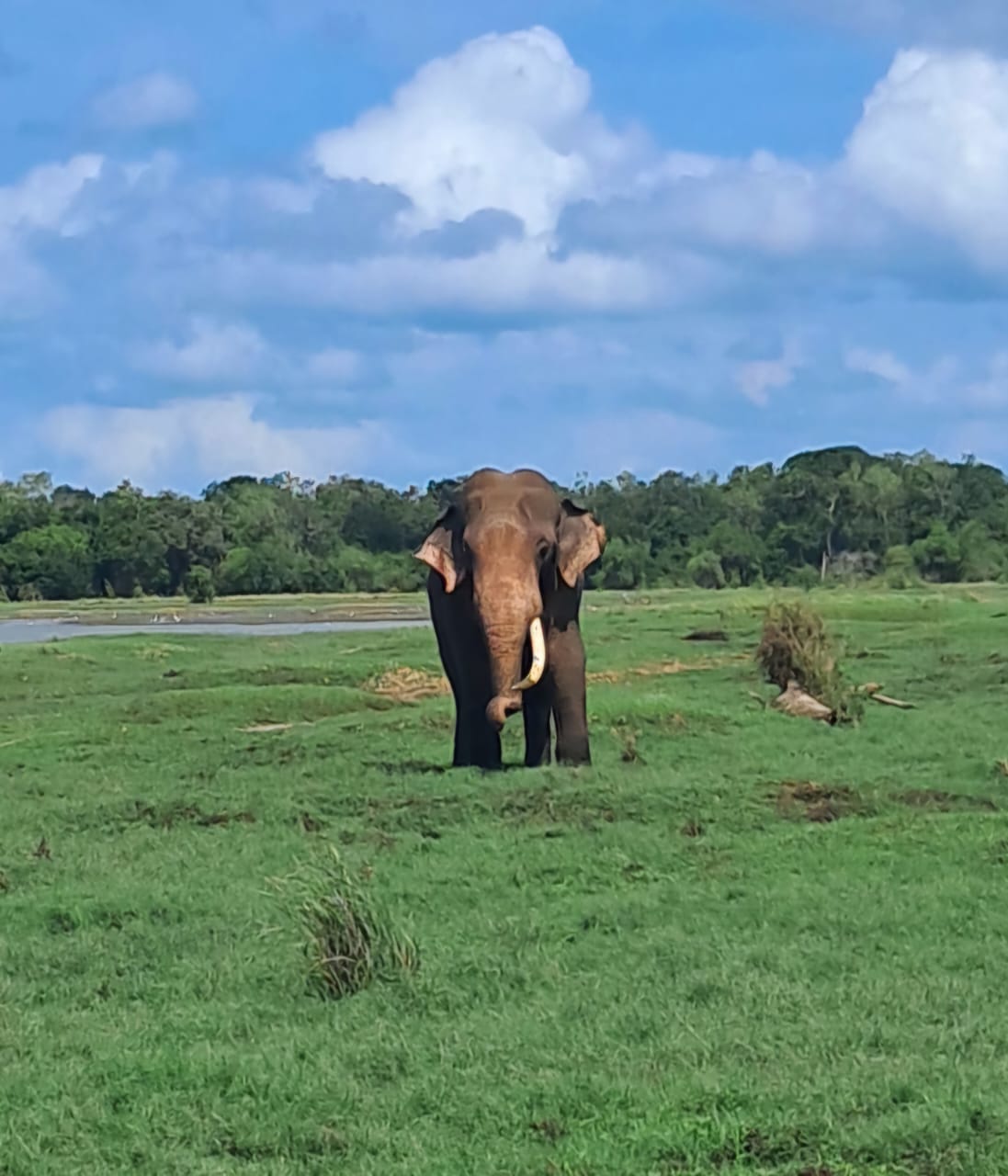 Ceylon travel first tour srilanka