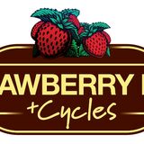 Strawberry Line Cycle Project