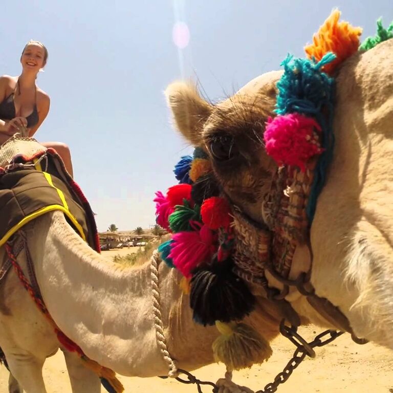 Al Sahel Travel Egypt