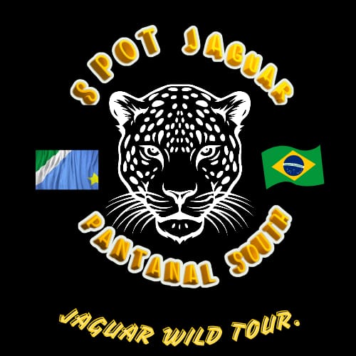 Spot jaguar pantanal south
