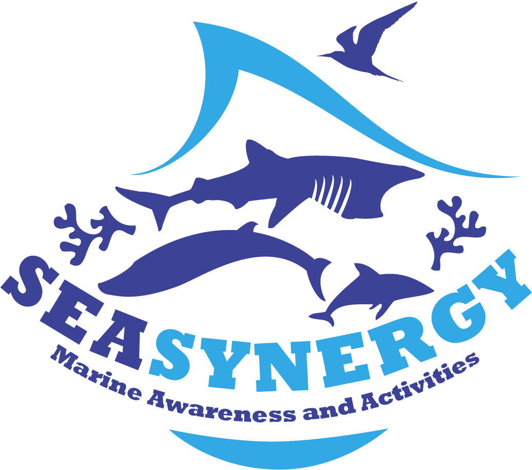 Sea Synergy Marine Awareness & Activity Center