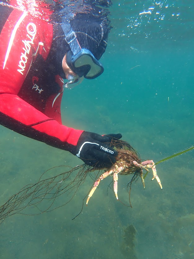 Sea Synergy Marine Awareness & Activity Center