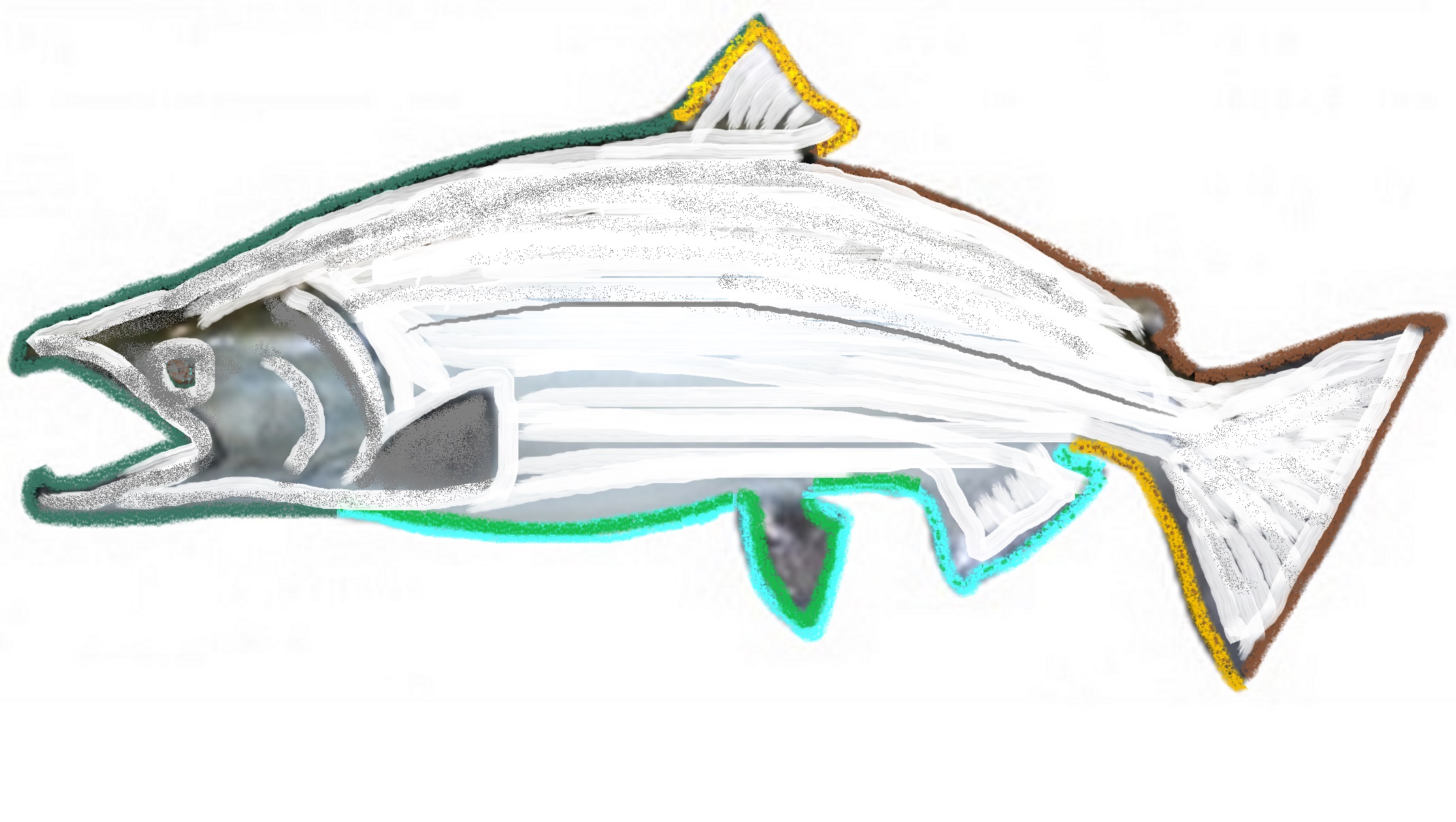 West Coast Sportfishing, Inc.