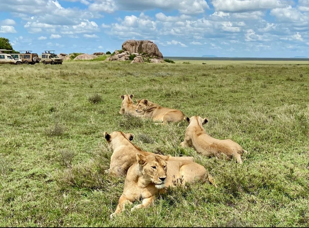 African Kaiques Expeditions