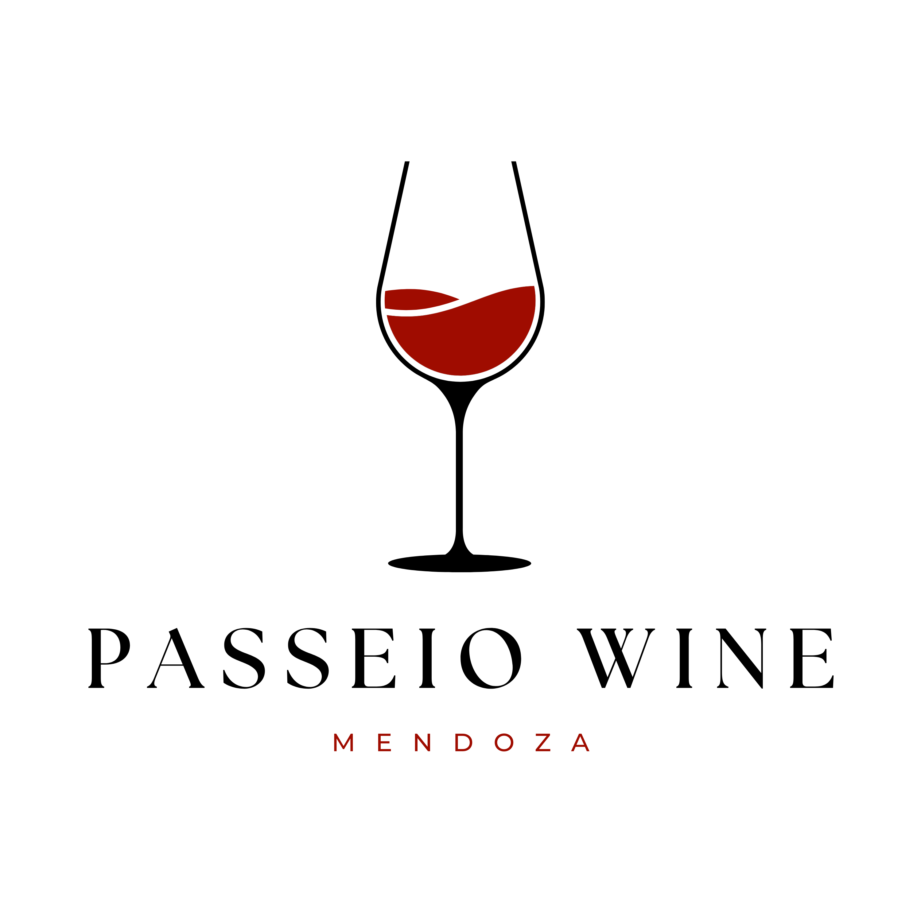 Passeios Vinicola Mendoza