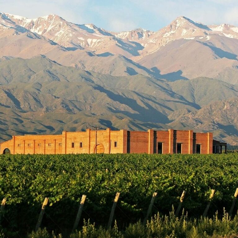 Passeios Vinicola Mendoza