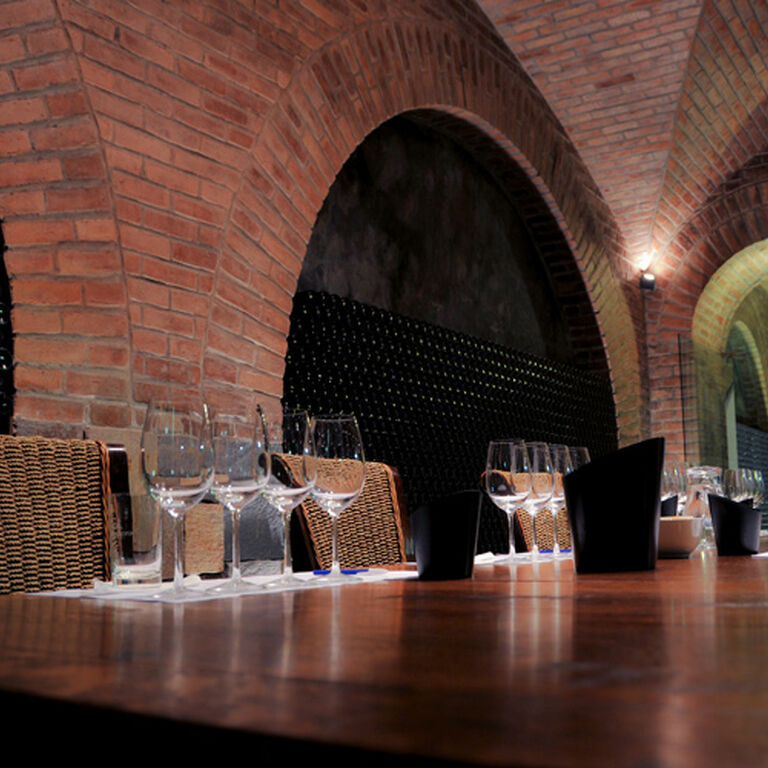 Passeios Vinicola Mendoza