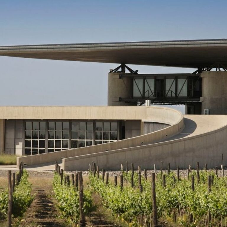 Passeios Vinicola Mendoza