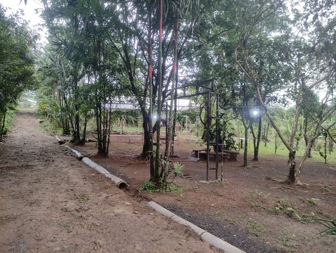 Río Celeste Swimming Hole Path